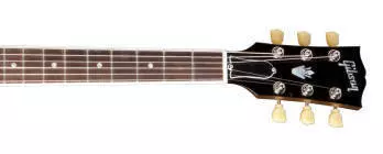 Night Hawk Studio in Silverburst